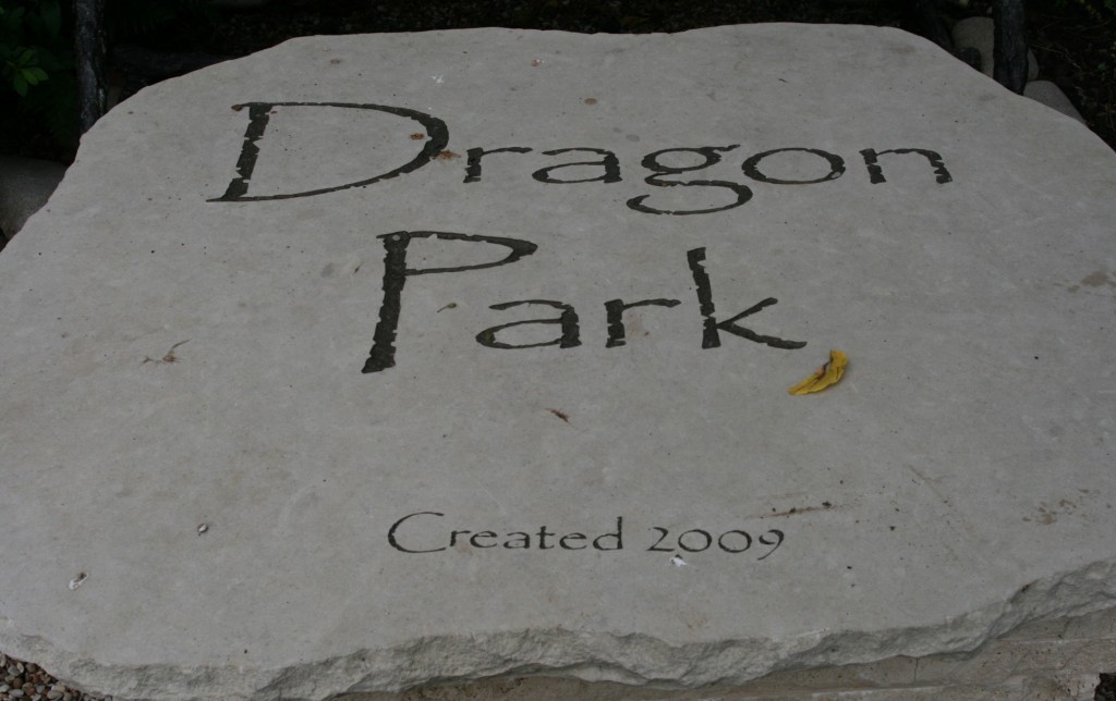dragonpark-1sep2010-1