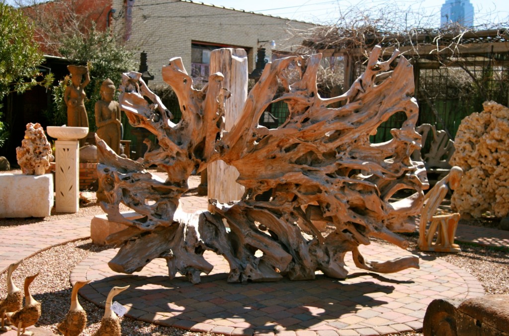 Massive Teak Root Sculpture